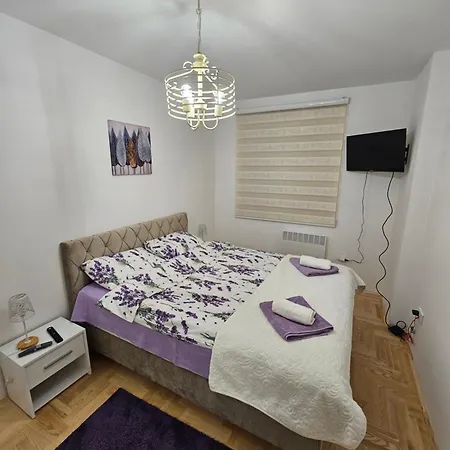 Apartment Branko
